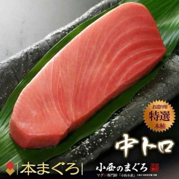 CÁ NGỪ VÂY XANH NHẬT BẢN - Hình ảnh 4