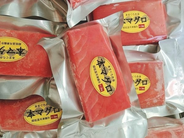 CÁ NGỪ VÂY XANH NHẬT BẢN - Hình ảnh 3
