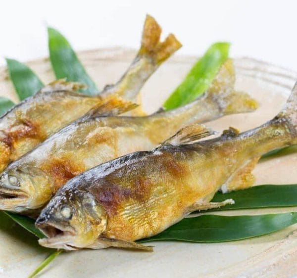 CÁ ĐẮNG NHẬT BẢN - AYU ( LOẠI KHÔNG TRỨNG ) - Hình ảnh 2