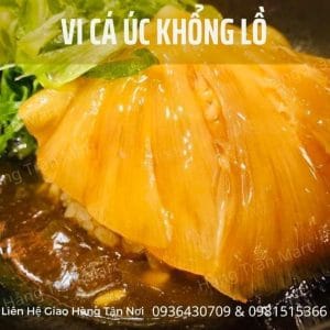 VI CÁ MẬP ÚC