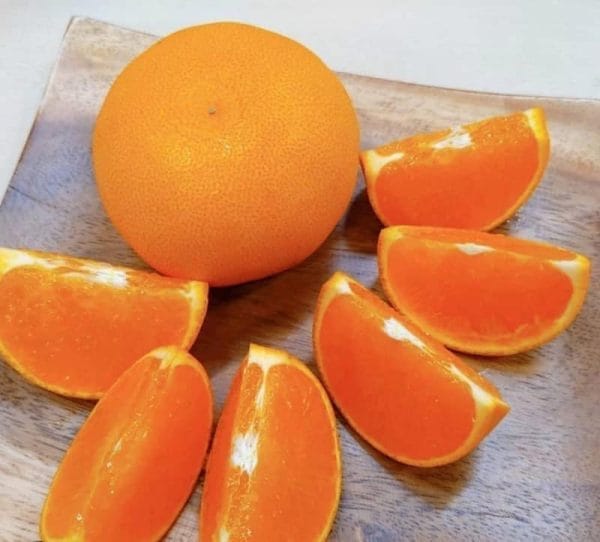 CAM LAI MẬT NHẬT BẢN - Hình ảnh 2