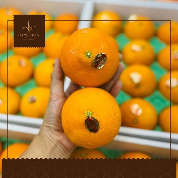 CAM LAI MẬT NHẬT BẢN