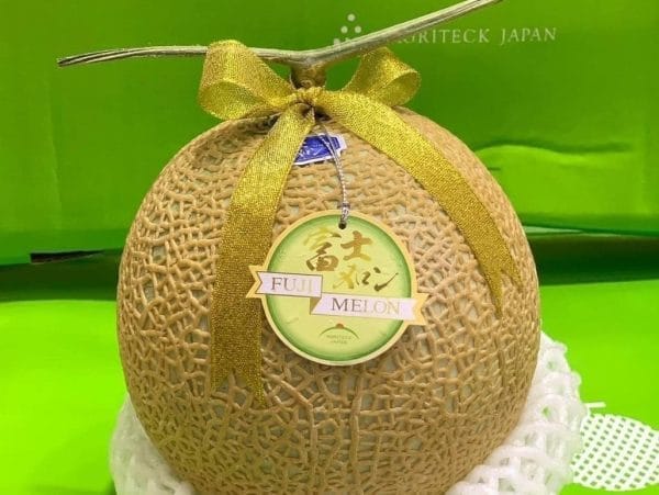 DƯA LƯỚI FUJI GIỐNG NHẬT