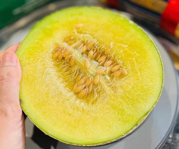DƯA LƯỚI FUJI GIỐNG NHẬT - Hình ảnh 3