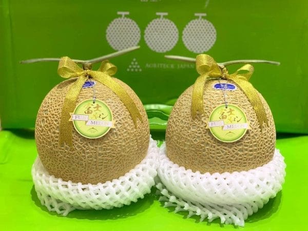 DƯA LƯỚI FUJI GIỐNG NHẬT - Hình ảnh 4