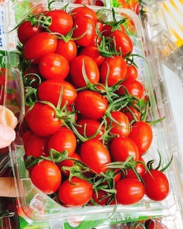 CÀ CHUA CHERRY ĐÀI LOAN - Hình ảnh 3