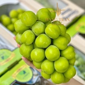 Nho Sữa Hàn Thùng 1 Chùm 1kg -1,2kg