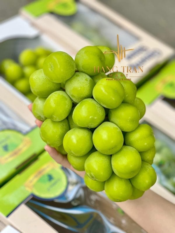 Nho Sữa Hàn Thùng 1 Chùm 1kg -1,2kg