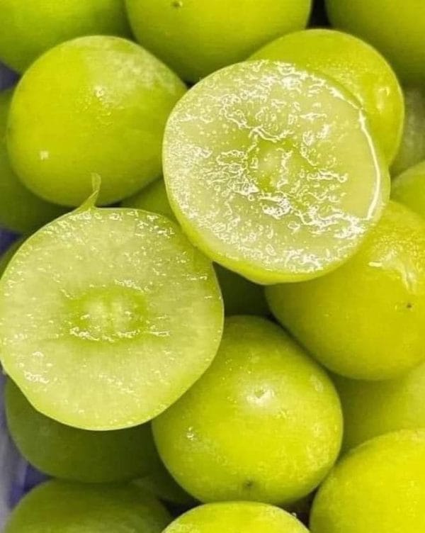 Nho Sữa Hàn Thùng 2kg - Hình ảnh 2