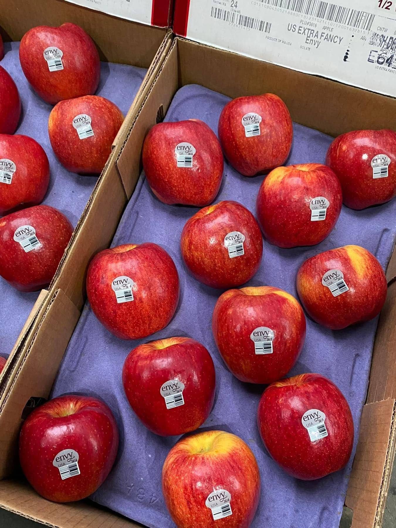 TÁO ENVY MỸ SIZE 24 - Hình ảnh 3