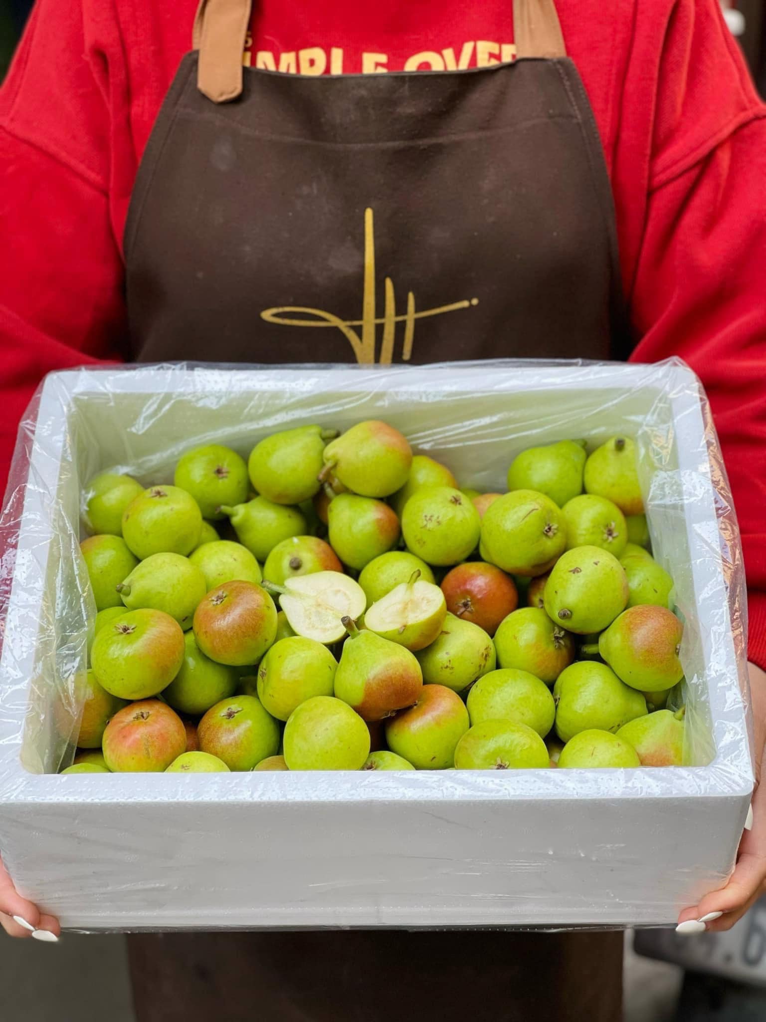 Lê Thiên Đường To Vip - Hình ảnh 4