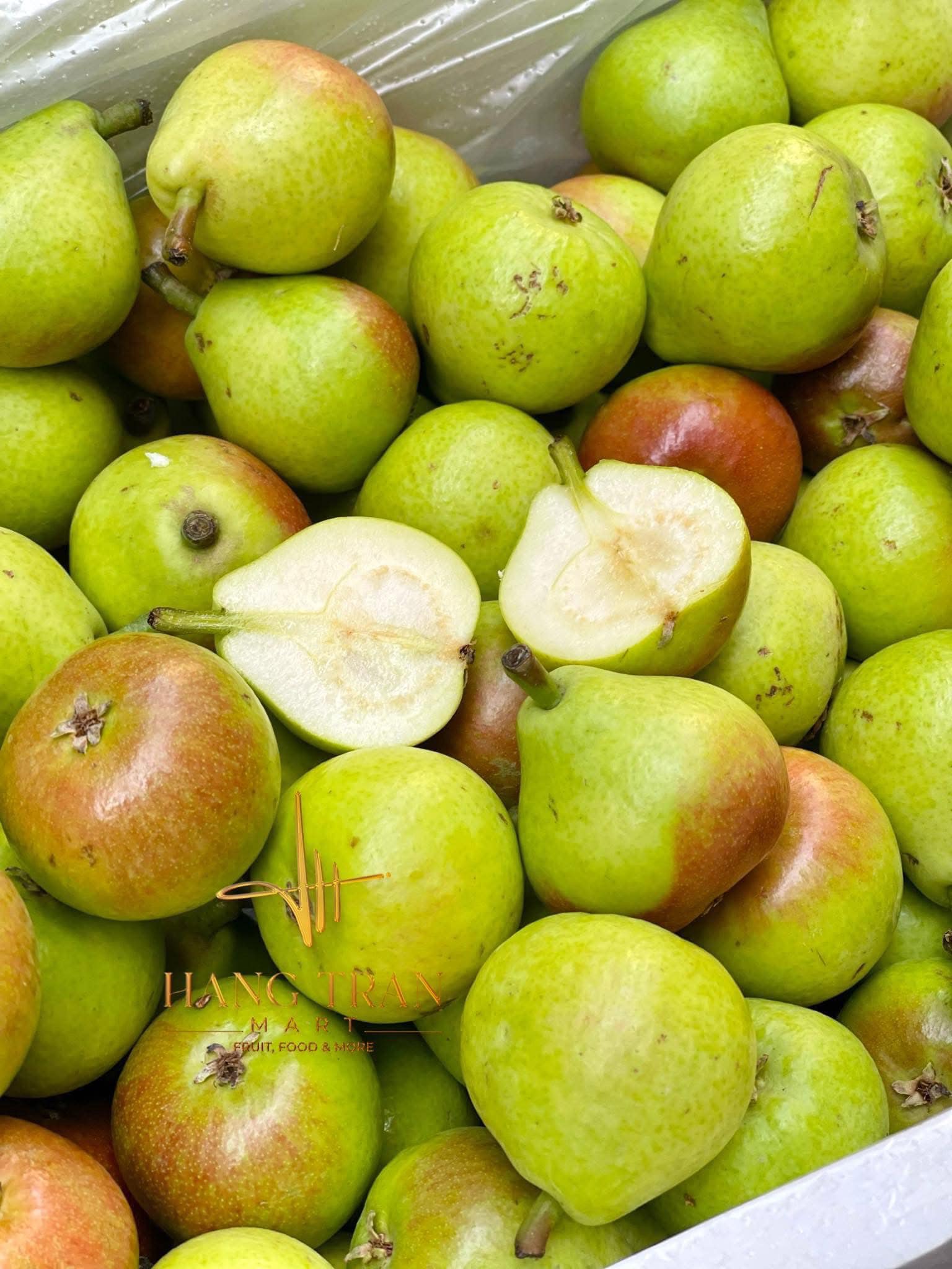 Lê Thiên Đường To Vip