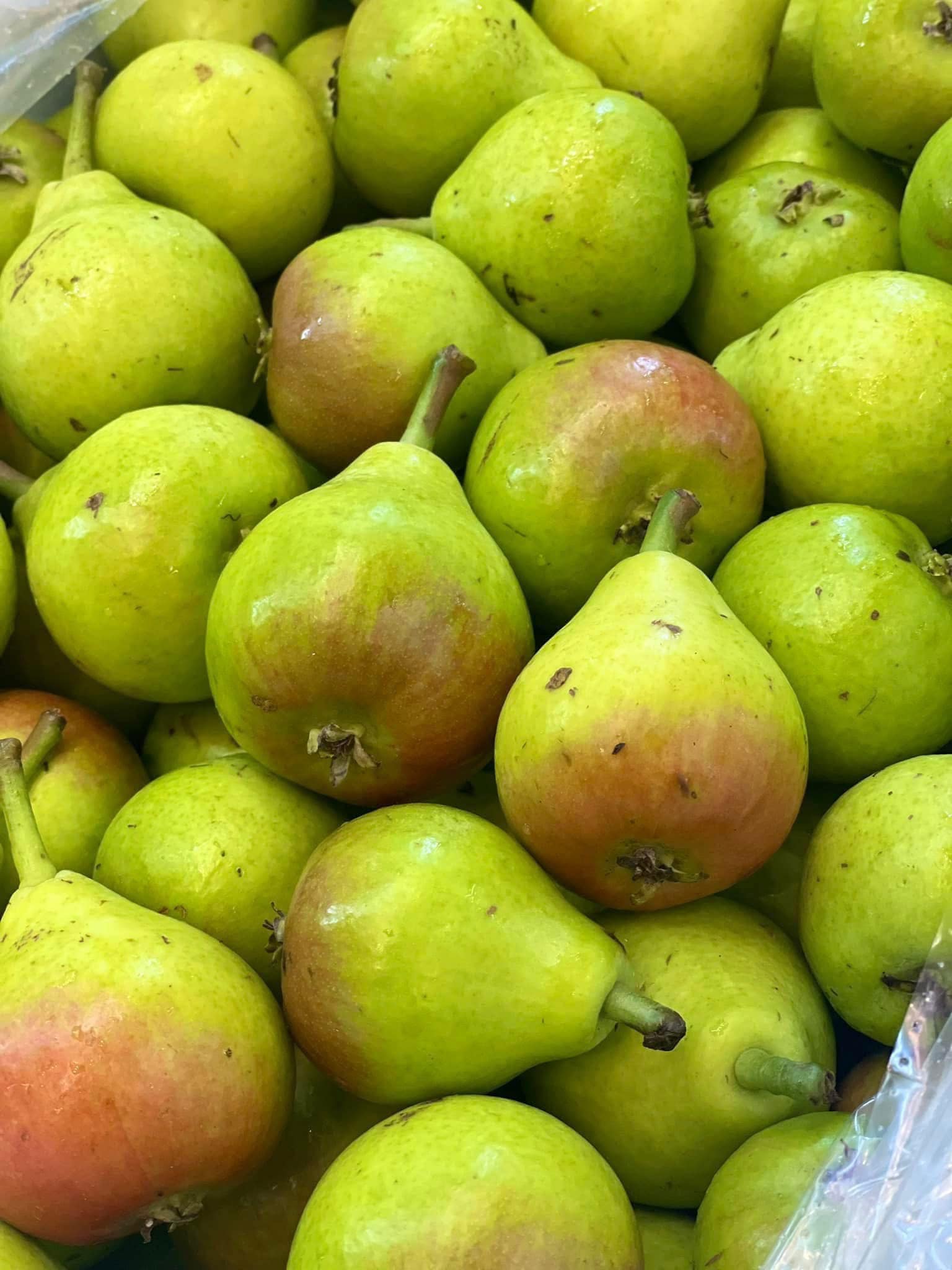 Lê Thiên Đường To Vip - Hình ảnh 3