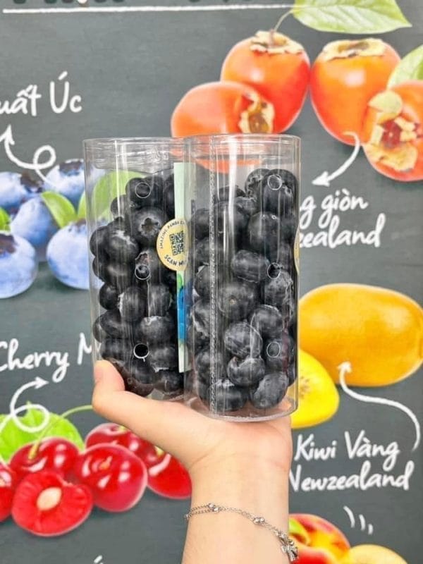 VIỆT QUẤT JUMBO - Hình ảnh 2