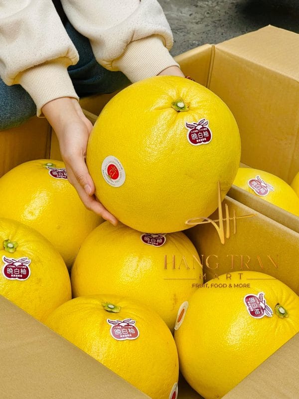 Bưởi Nhật Bản VIP NGUYÊN THÙNG 5KG