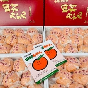QUÝT TẤM NHẬT HỘP VIP 1,6KG