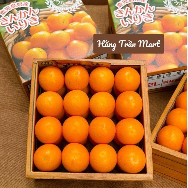 QUẤT ĐƯỜNG NHẬT BẢN HỘP 700GR