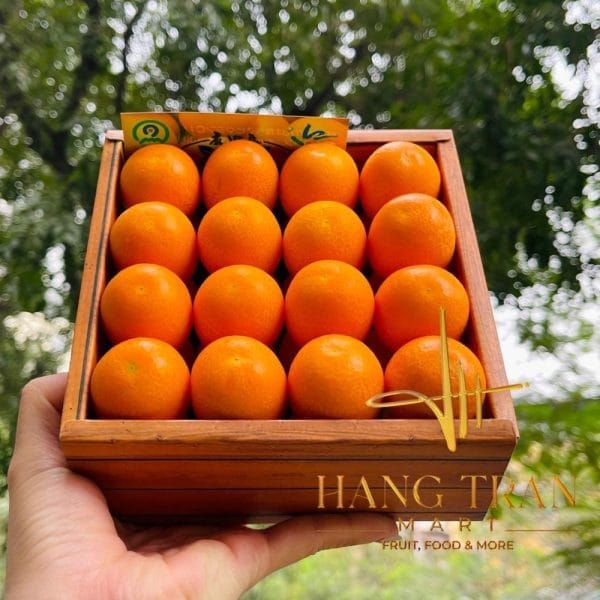 QUẤT ĐƯỜNG NHẬT BẢN HỘP 700GR - Hình ảnh 3