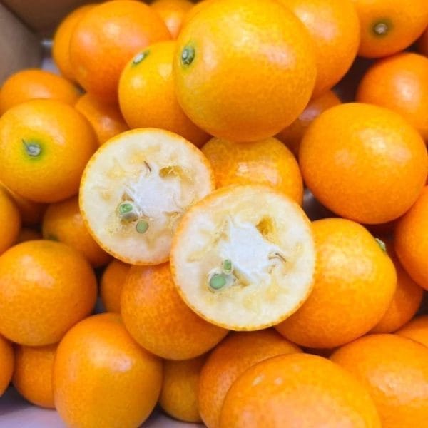 QUẤT ĐƯỜNG NHẬT BẢN HỘP 700GR - Hình ảnh 4