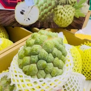 NA BỞ ĐÀI LOAN ( QUẢ )