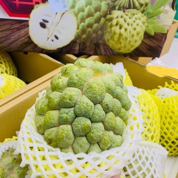NA BỞ ĐÀI LOAN ( QUẢ )