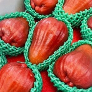 ROI ĐƯỜNG ĐEN ĐÀI LOAN