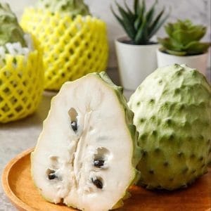 NA DAI ĐÀI LOAN