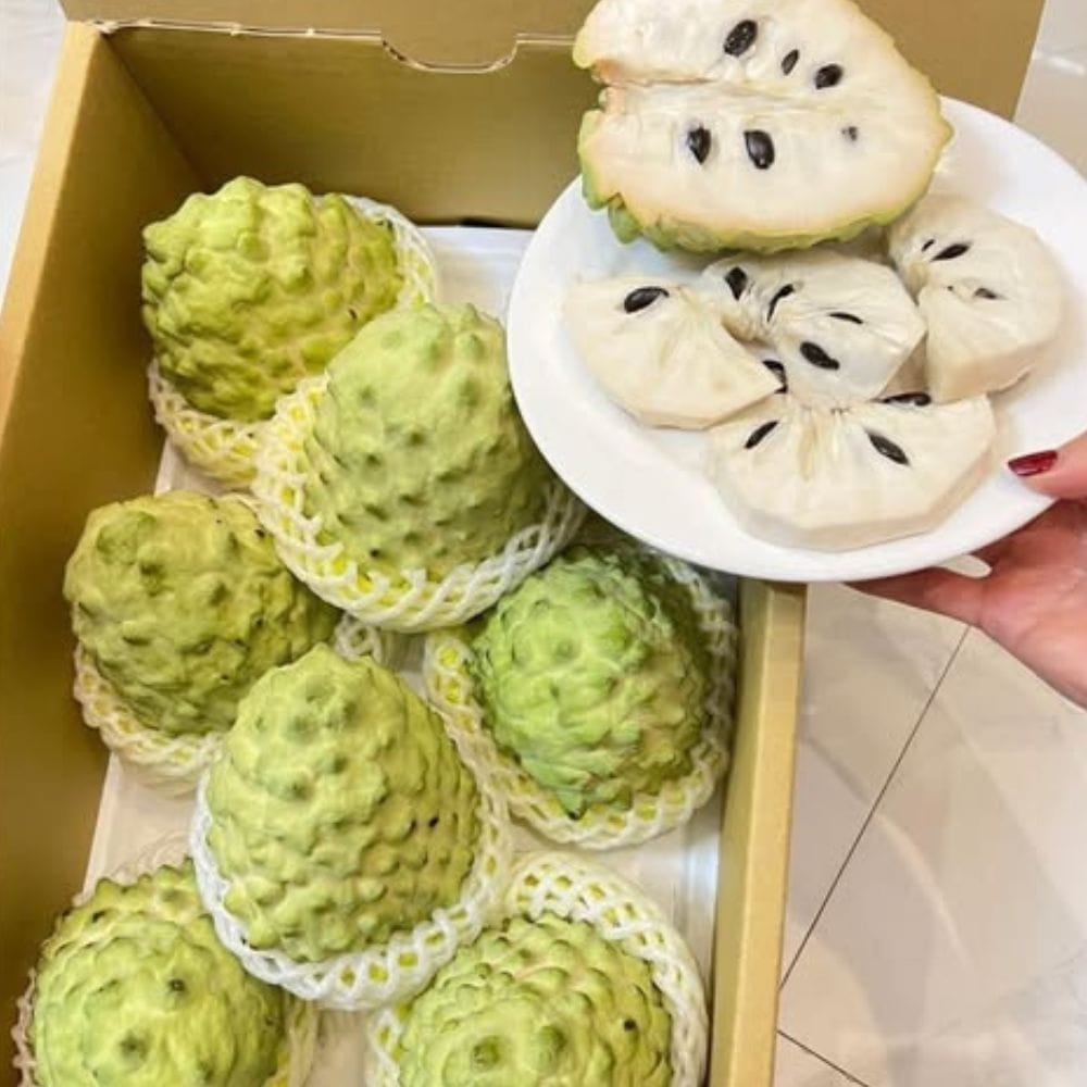 NA DAI ĐÀI LOAN - Hình ảnh 2