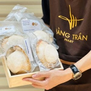 Bào Ngư Úc Size Vip Sz 2 Con