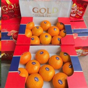QUÝT ÚC THÙNG BIẾU TẶNG 2 TẦNG