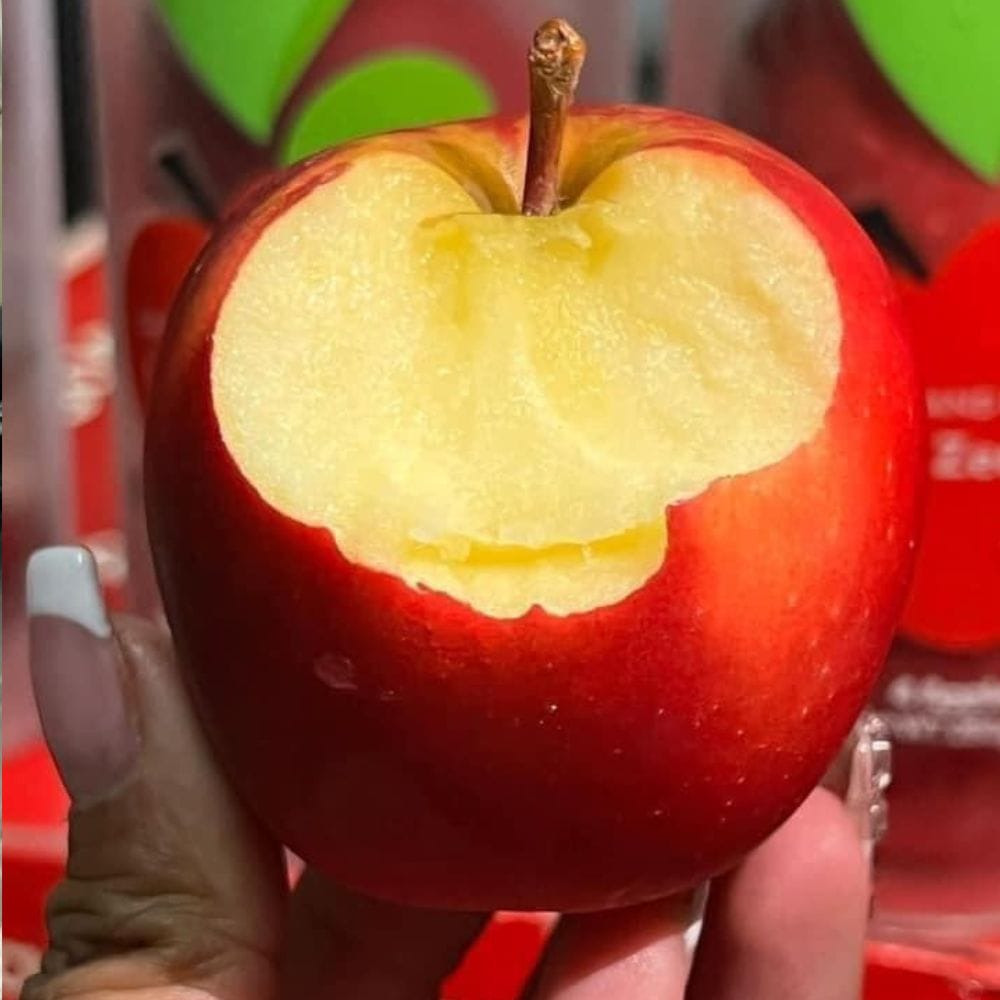 TÁO ROCKIT - Hình ảnh 2