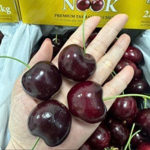 CHERRY ĐẢO TASMANIA SIZE 32-34