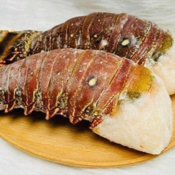 ĐUÔI TÔM HÙM ÚC SIÊU VIP - Hình ảnh 2