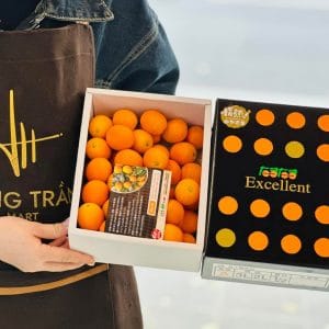 Quất Đường Hộp Vip 1kg