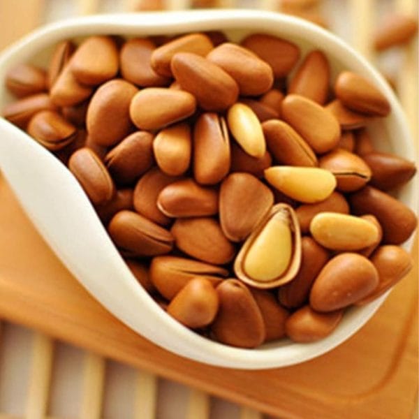 Hạt Thông Tây Tạng - Hình ảnh 4