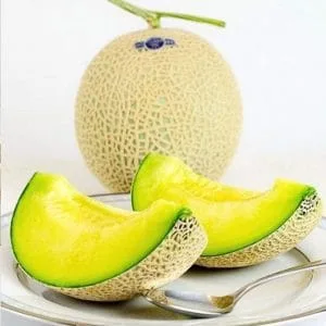 DƯA LƯỚI KING MELONG NHẬT