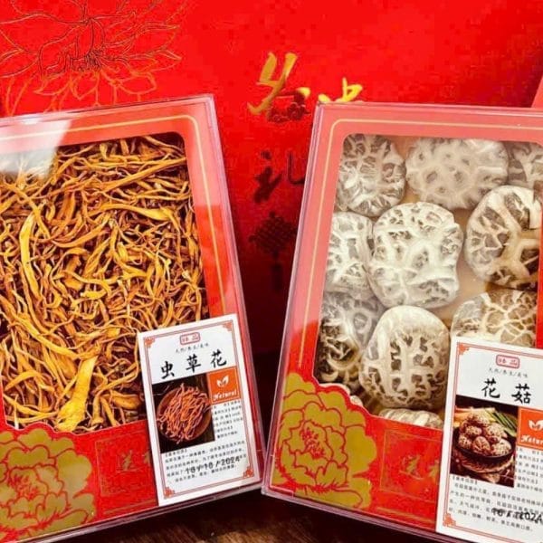 HỘP NẤM TRƯỜNG THỌ HONGKONG - Hình ảnh 2