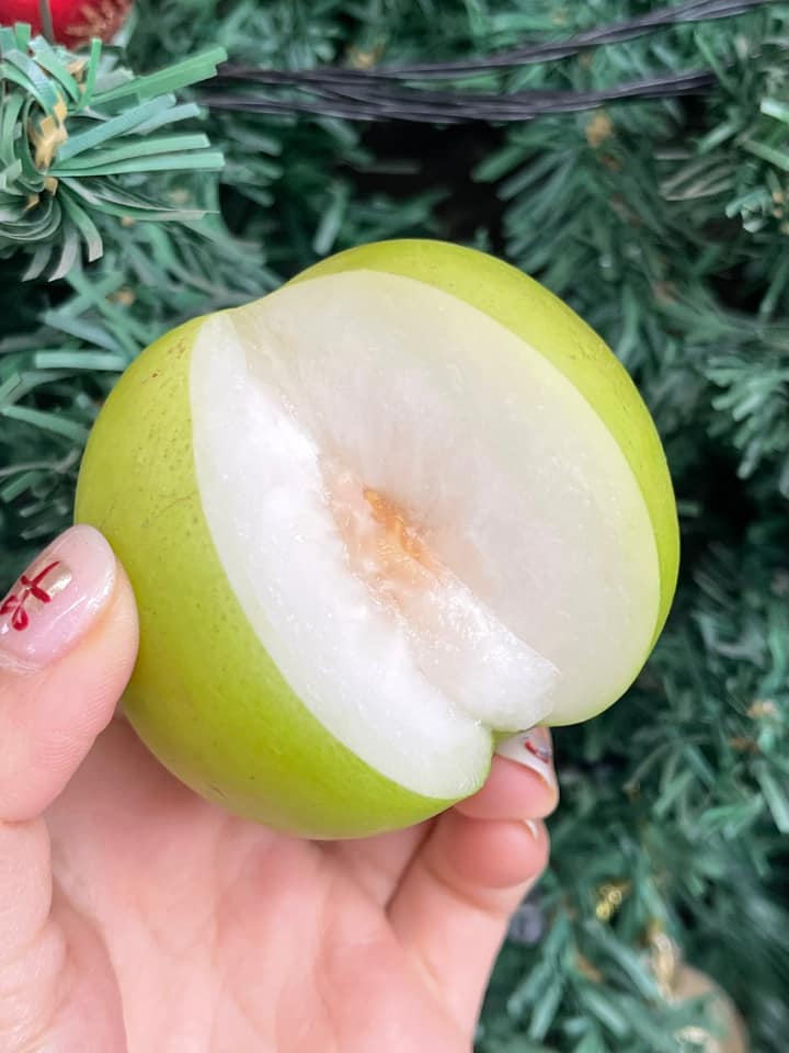 GIỎ HOA QUẢ BIẾU TẶNG 34 - Hình ảnh 3