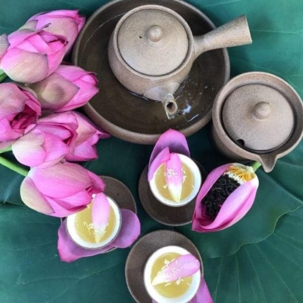 TRÀ SEN BÁCH DIỆP HỒ TÂY