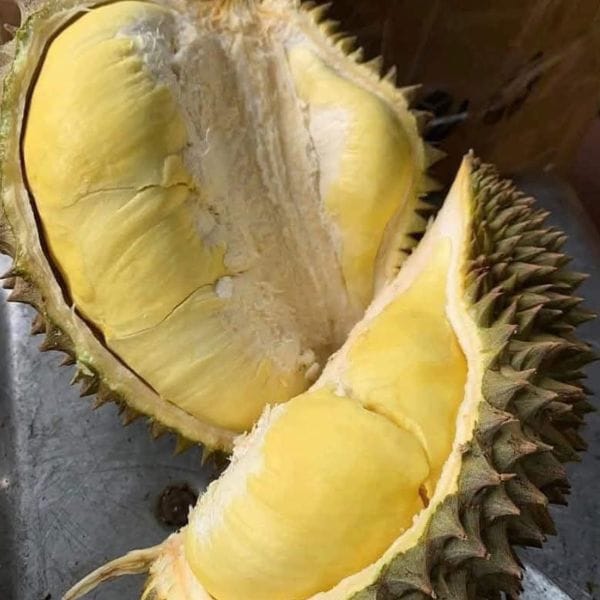 SẦU THÁI MONTHONG SIÊU SẠCH NGUYÊN QUẢ (KG)