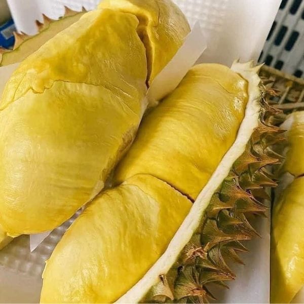 SẦU THÁI MONTHONG SIÊU SẠCH NGUYÊN QUẢ (KG) - Hình ảnh 2