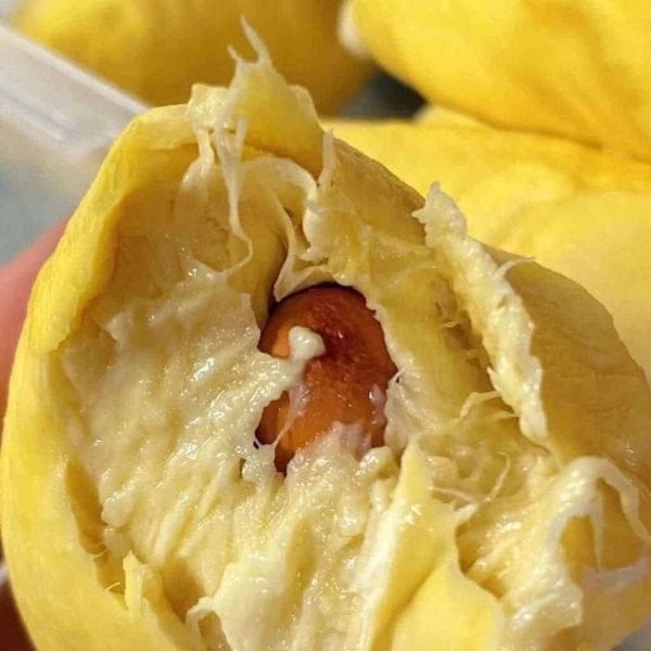 SẦU THÁI MONTHONG SIÊU SẠCH NGUYÊN QUẢ (KG) - Hình ảnh 4