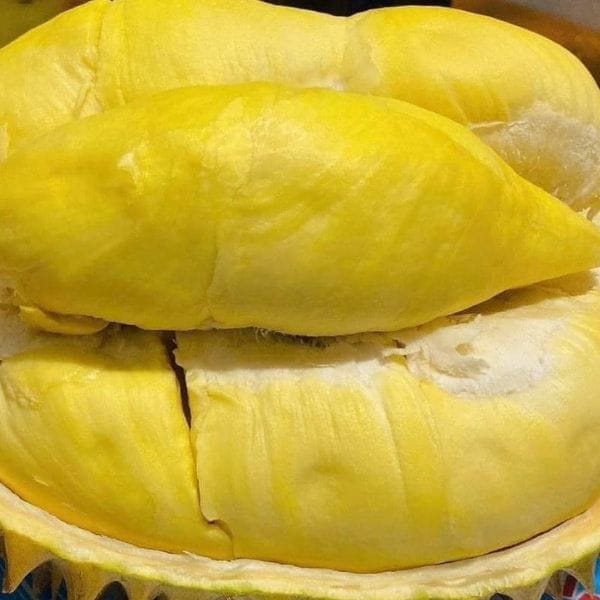 SẦU THÁI MONTHONG SIÊU SẠCH NGUYÊN QUẢ (KG) - Hình ảnh 5