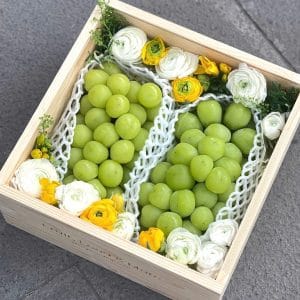 GIỎ HOA QUẢ BIẾU TẶNG 33