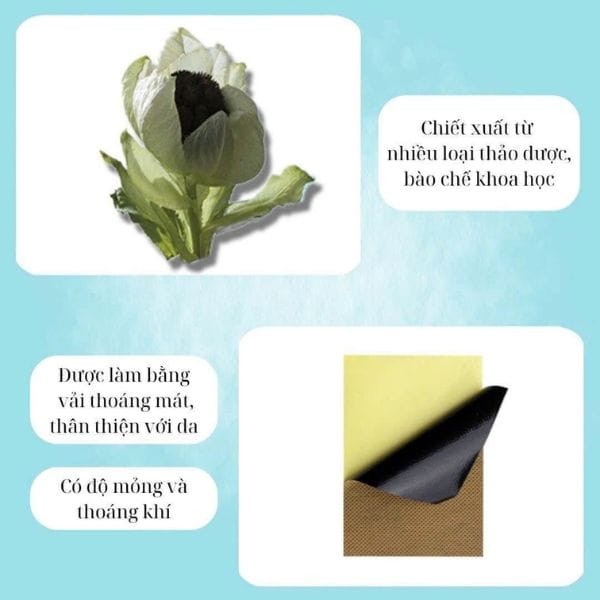 CAO DÁN THIÊN SƠN TUYẾT LIÊN (set 3 hộp ) - Hình ảnh 2