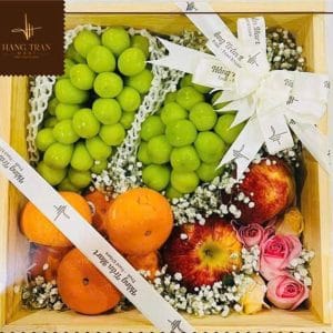 GIỎ HOA QUẢ BIẾU TẶNG 44
