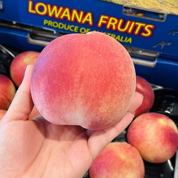 ĐÀO TRẮNG ÚC (KG )