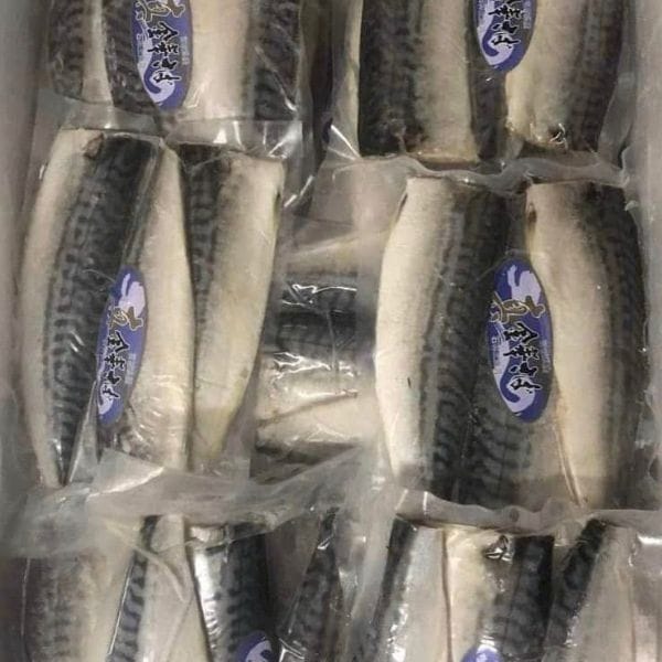 CÁ THU NHẬT KINKA FILLET - Hình ảnh 3