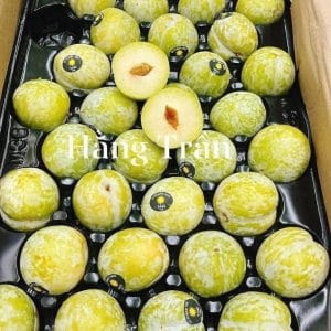 MẬN  XANH OCTOBER ÚC