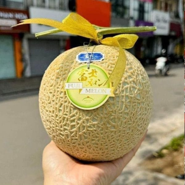 GIỎ HOA QUẢ BIẾU TẶNG 05 - Hình ảnh 2